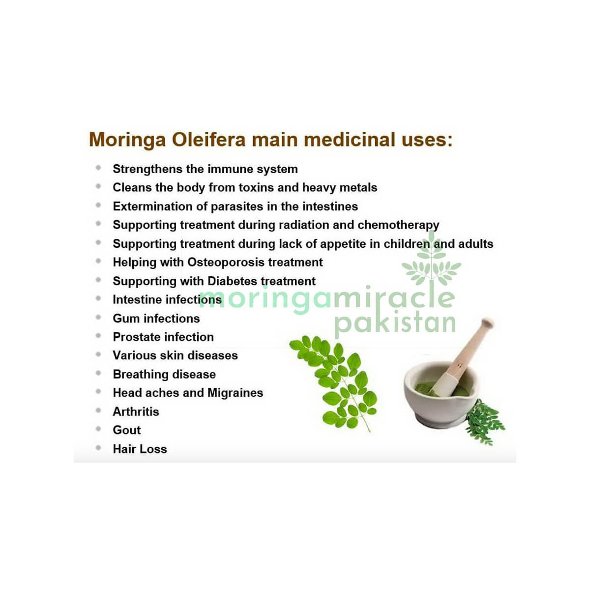 Moringa Cinnamon Green Tea 16gm -Respiratory Allergy & Flu ,Boosts Immune  System-Improves Healing,Digestion,Lowers Sugar Level | Moringa Miracle -  OneOrganic